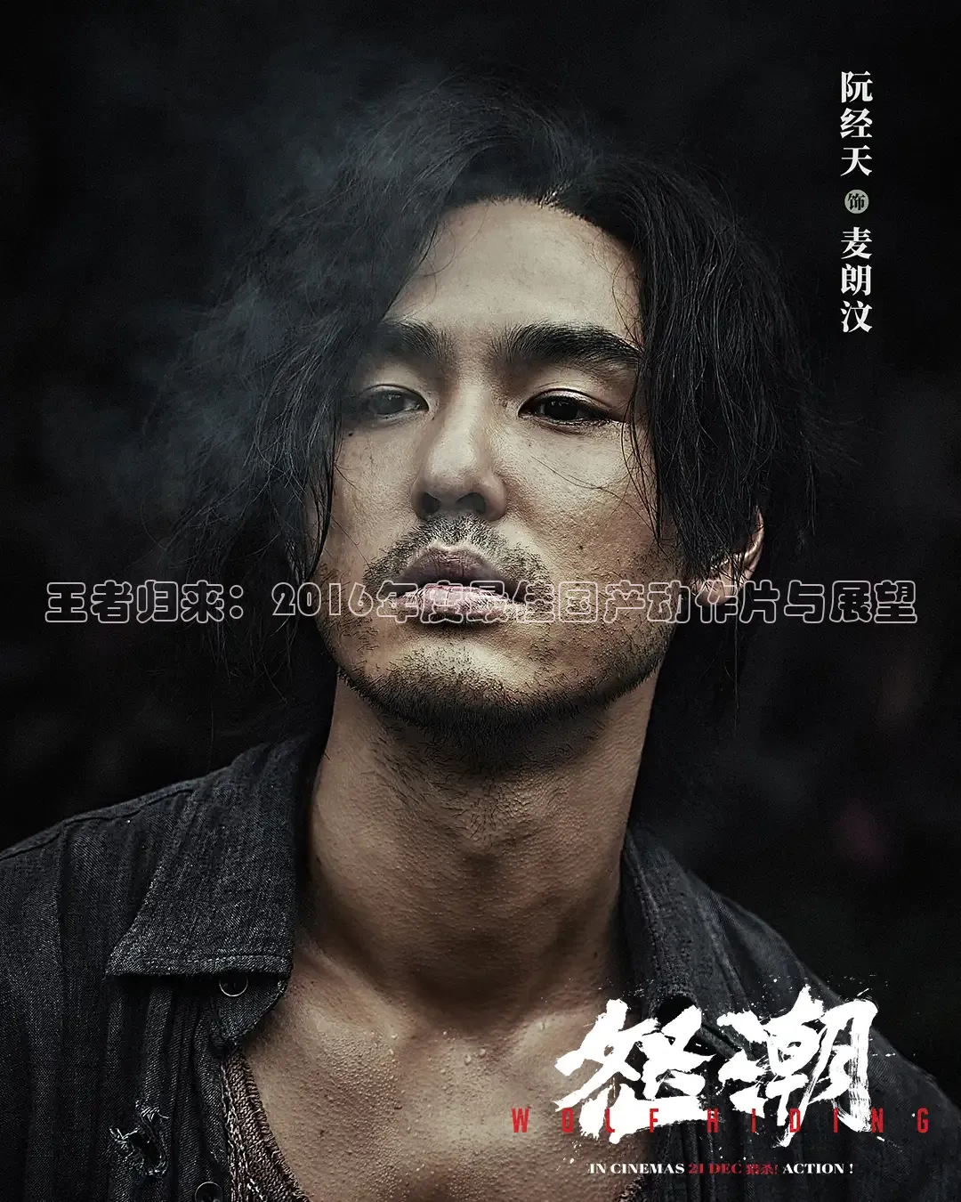 王者归来：2016年度最佳国产动作片与展望