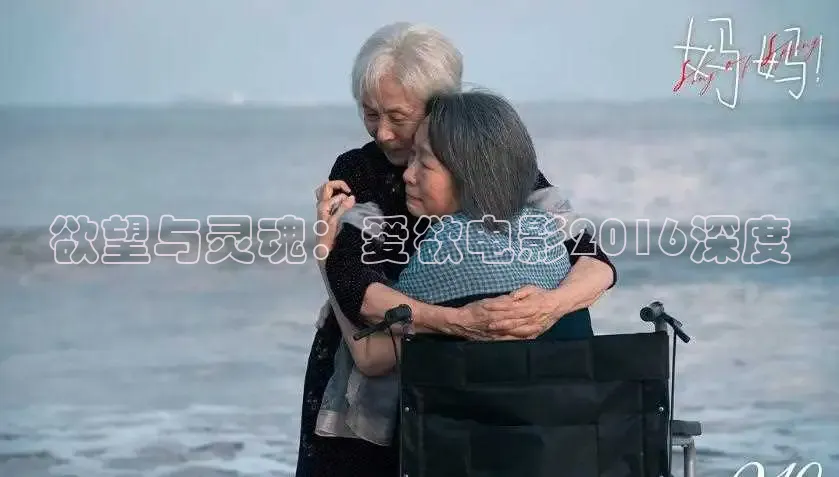 51网站