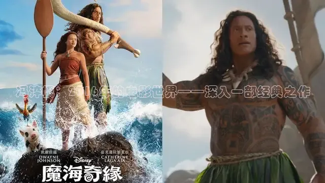 51视频在线观看